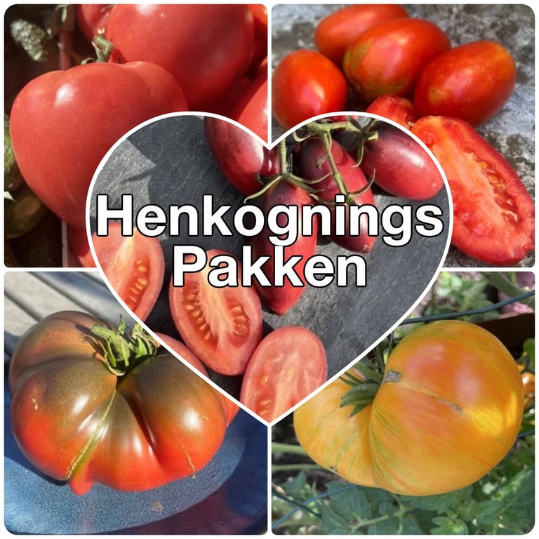 Collage af forskellige typer tomater i rød, orange og mørkerød med teksten "Henkognings Pakken" i et hjerteformet område i midten.