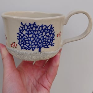 koraler med klovnefisk  – produktbillede