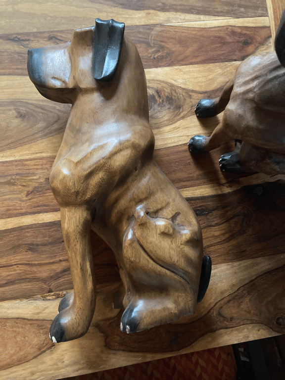 Skønne vagthunde (6)