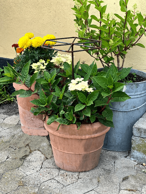 Blomsterstøtte i jern