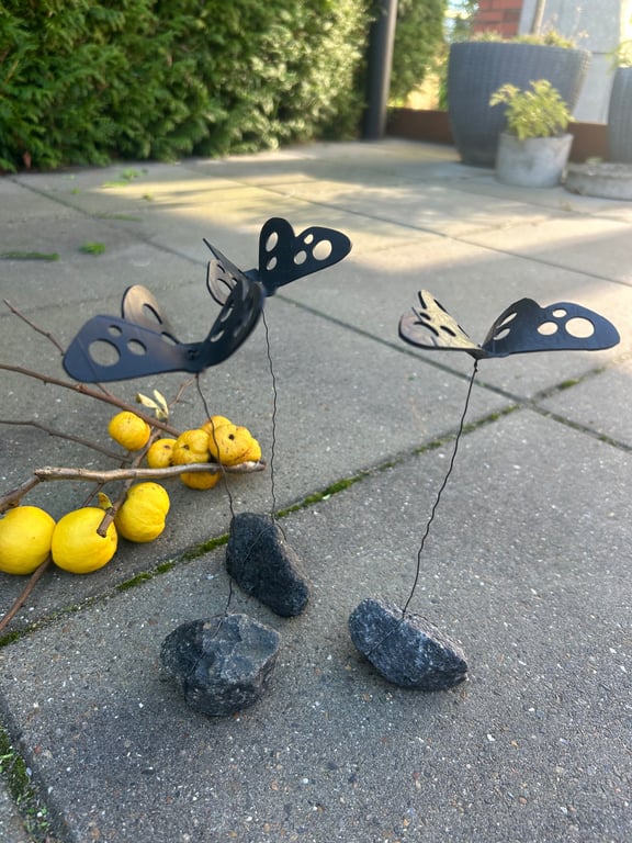 Sommerfugl på sten billede 2