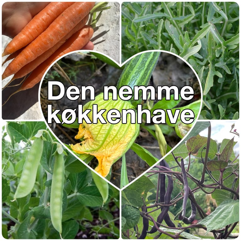 Collage af forskellige grøntsager i haven, herunder gulerødder, ærter, rucola, bønner og en squash med blomst med teksten "Den nemme køkkenhave" i hjertet midt i billedet.