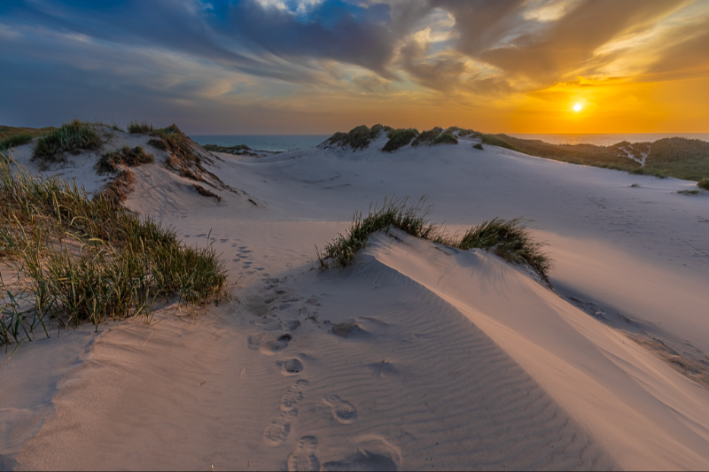 Klitterne i Gammel Skagen lige før solnedgang en smuk sommeraften