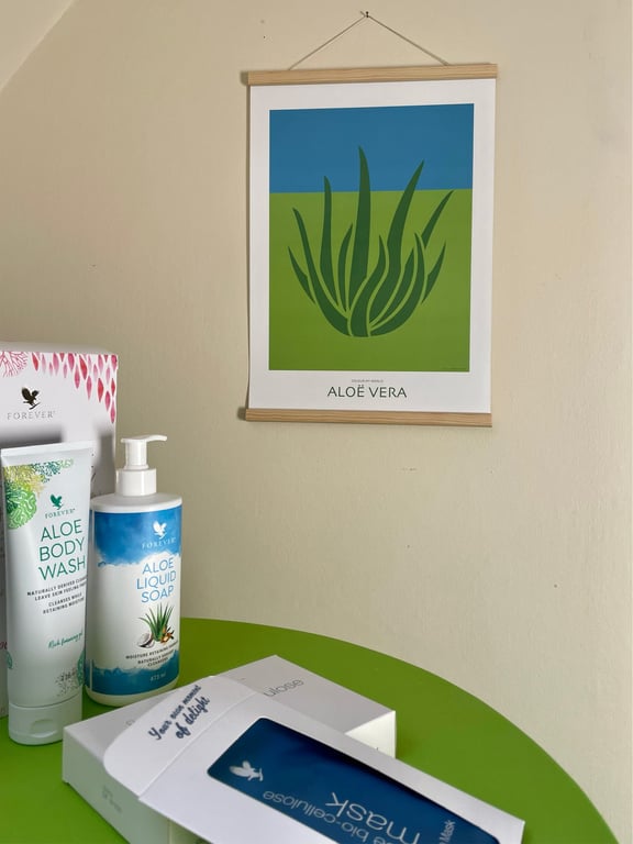 Aloë Vera - A3 plakat billede 3