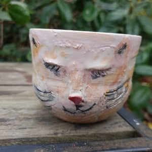 Kattekop  – produktbillede