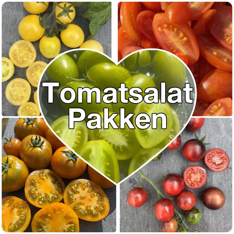 Billede af forskellige farverige cherrytomater, inklusiv gule, røde, orange og lilla tomater, med teksten "Tomatsalat Pakken" i et hjerteformet område i midten.