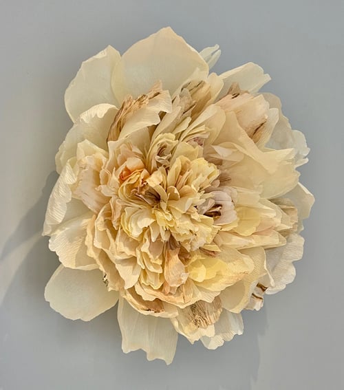 Vægpæon Workshop (9)