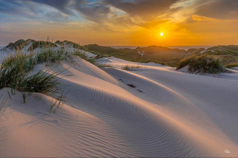 Klitterne i Gammel Skagen lige før solnedgang en smuk sommeraften