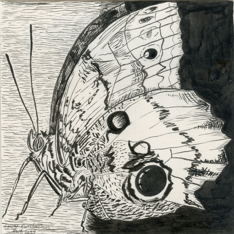 N2 - 19