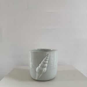 Konkylie mint #4 – produktbillede