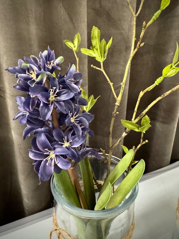 Hyacint i glas  billede 3