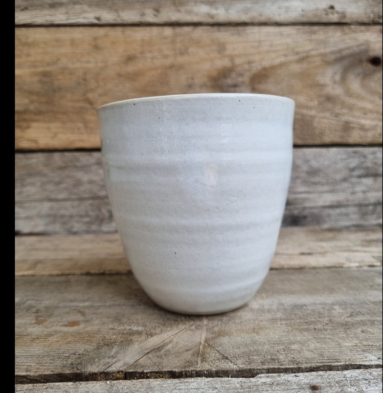 Konkylie kop billede 2