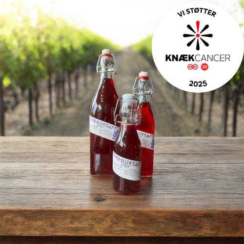 Vindruesaft - Knæk cancer 2025