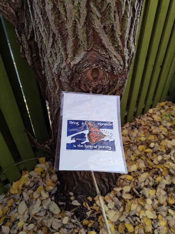 Magical Mabon: a long journey