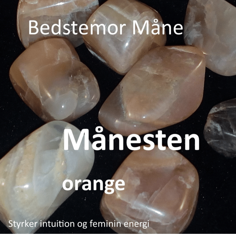 Kraftstenene i Medicinhjulet billede 17
