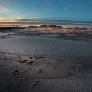 Fodspor på Råbjerg mile i Skagen en smuk sommeraften – produktbillede