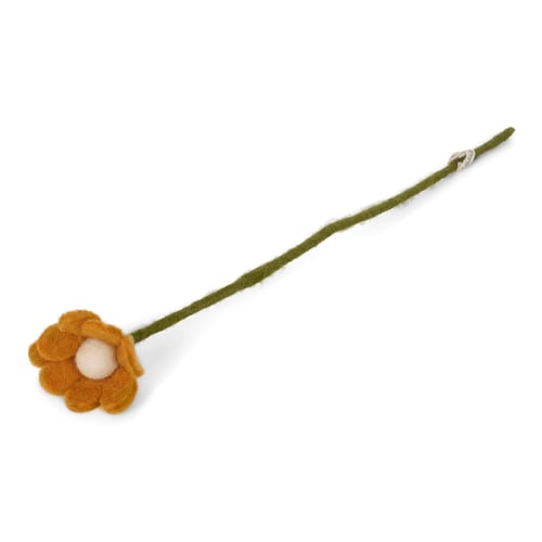 G&S Anemone sennepsgul (4)