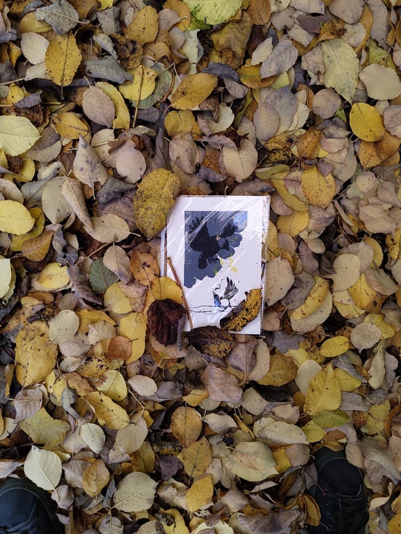 Magical Mabon: thunderbird