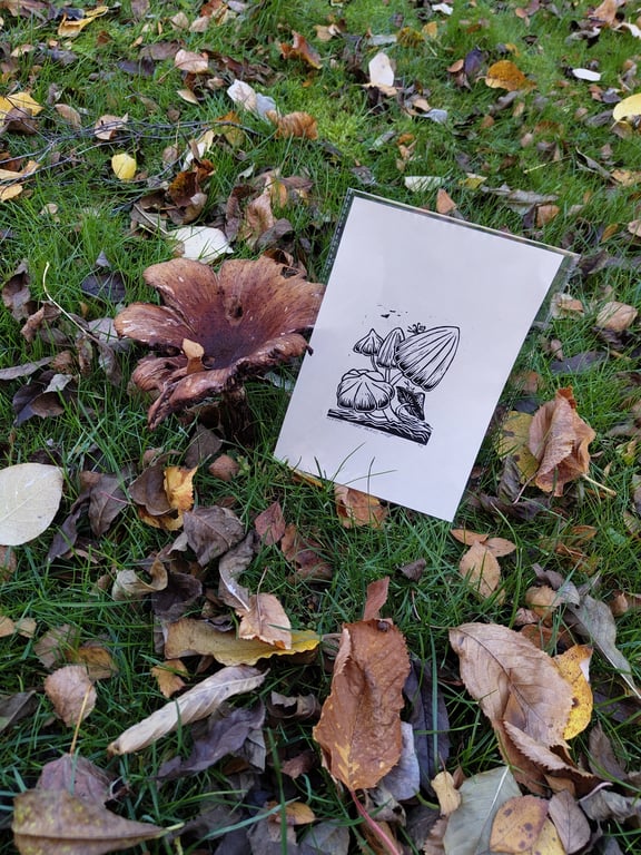 Magical Mabon: Where Fairies meet