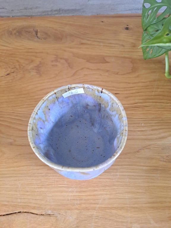 Bumlekoppen fejler ingenting men er meget lille billede 2