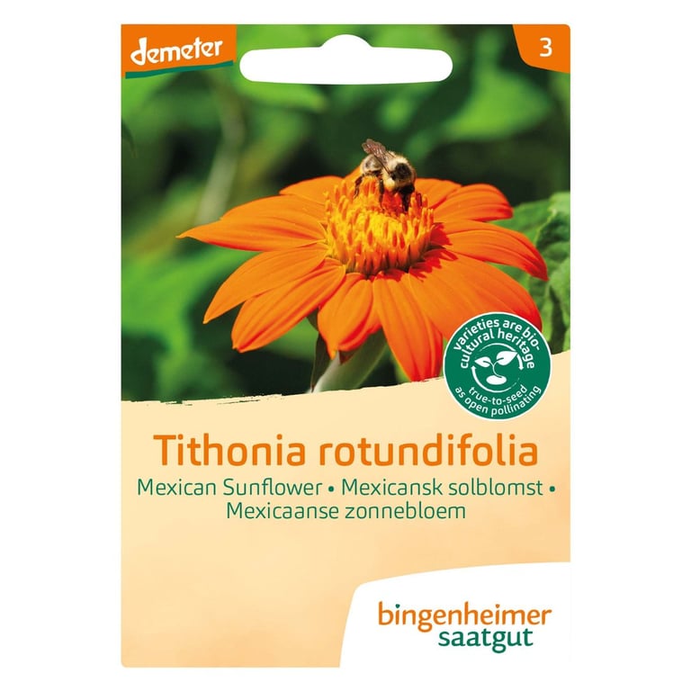Frøpakke med billede af orange mexicansk solsikke og bi, mærket "Tithonia rotundifolia" fra Bingenheimer Saatgut.
