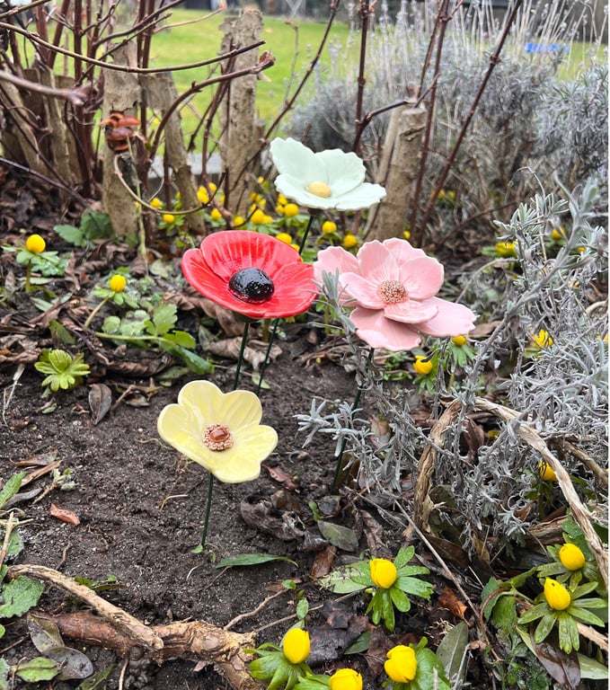 Lyserød blomst på stilk  billede 5