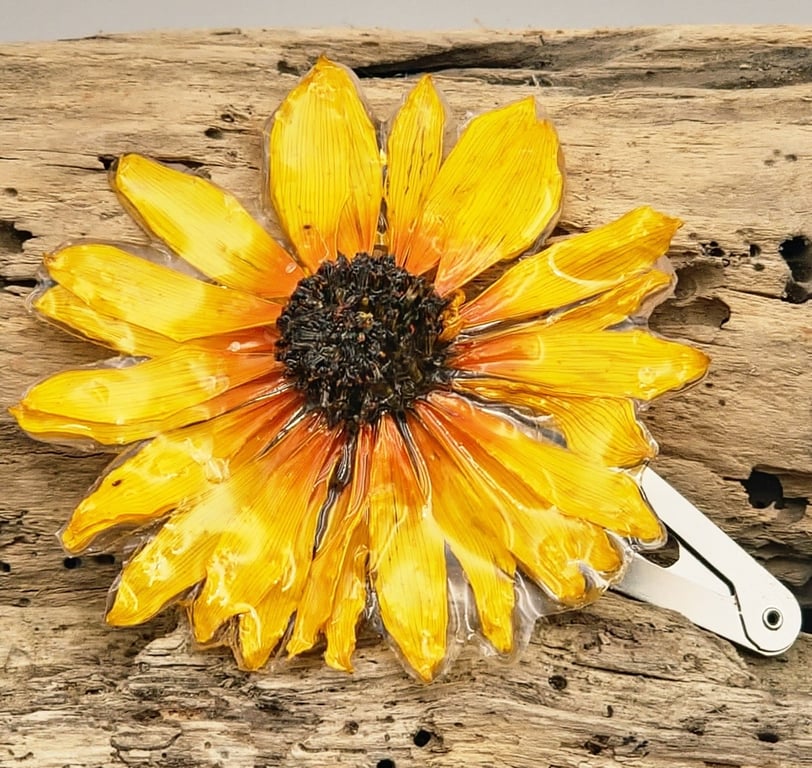 Staude solsikke hårspænde 