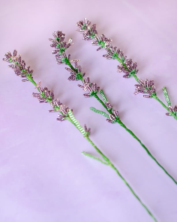 Lavendel perleblomst billede 3