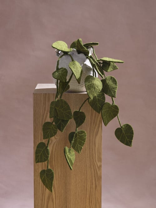 Grøn plante med hjerteformede blade i hvid krukke, placeret på en træpedestal mod en rosa baggrund. (1)
