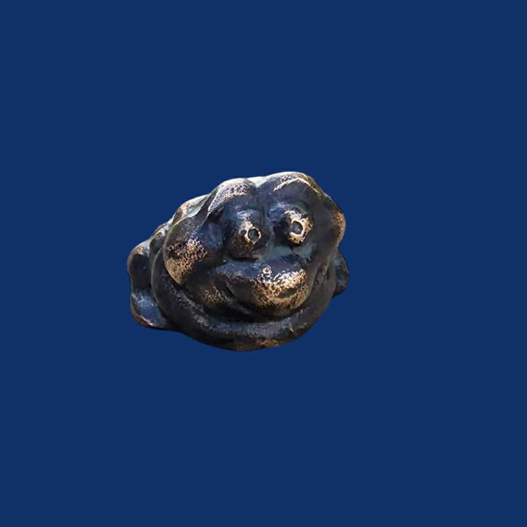 Skrubtudsen billede 2