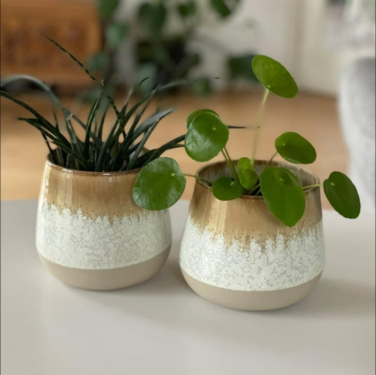 Urtepotte, cremehvid/tenmoku 