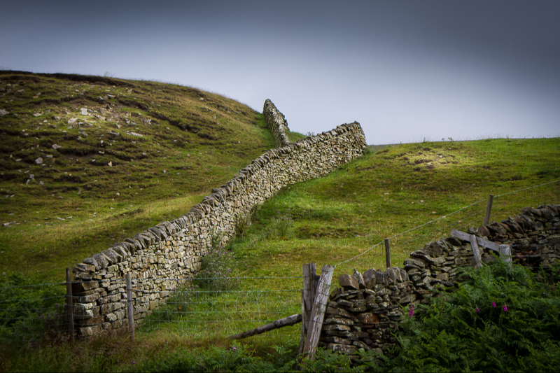 En smuk stengærde i Peak District i UK en dejlig sommerdag