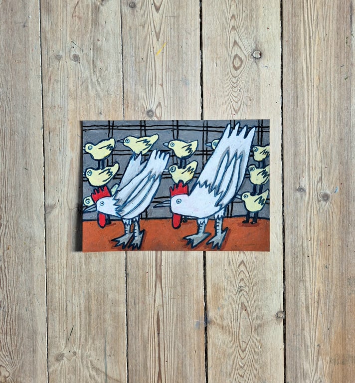 13 høns pr. kvadratmeter