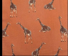 Giraffer