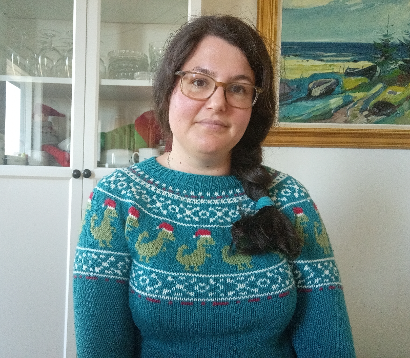 Dino Christmas Sweater - MY SIZE