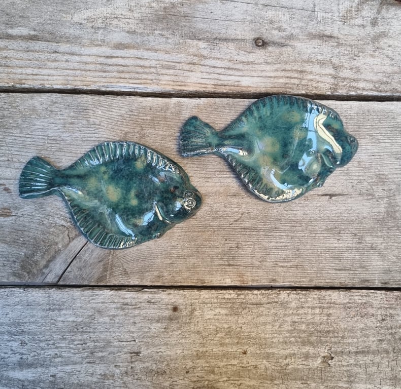 Rødspætte, blå billede 3