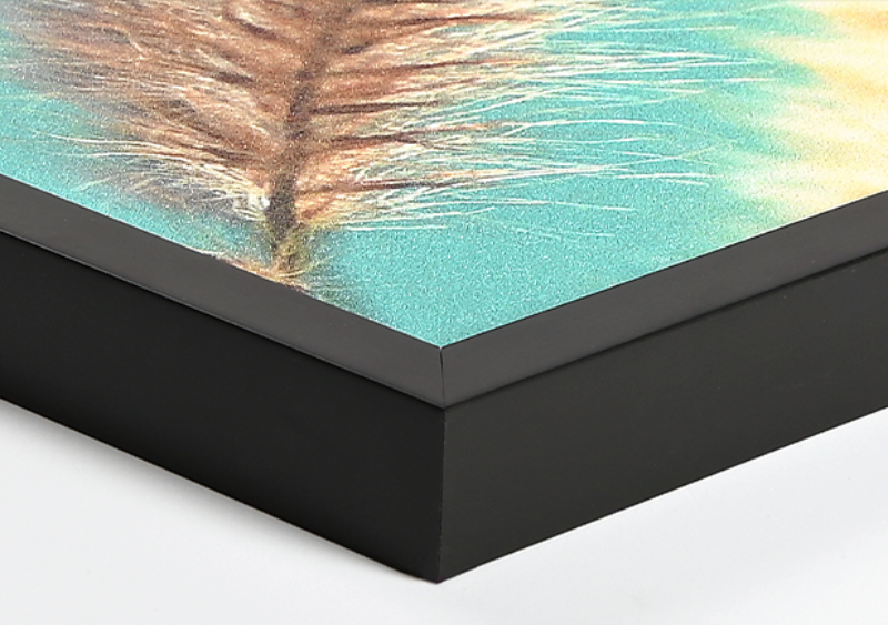 Pælerække på Ulvshale strand på Møn en smuk sommerdag billede 2