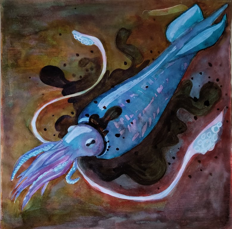 Loligo Vulgaris, 32 x 32 cm