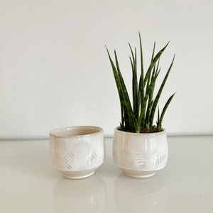 Espresso kop - potteskjuler – produktbillede