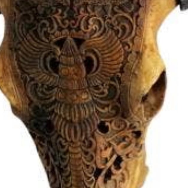 Dyrekranie - sorte horn (8)