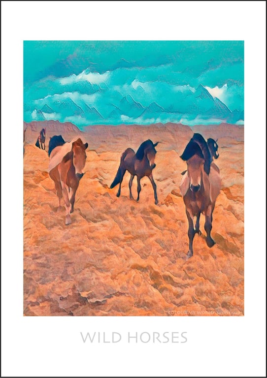 Wild Horses billede 2