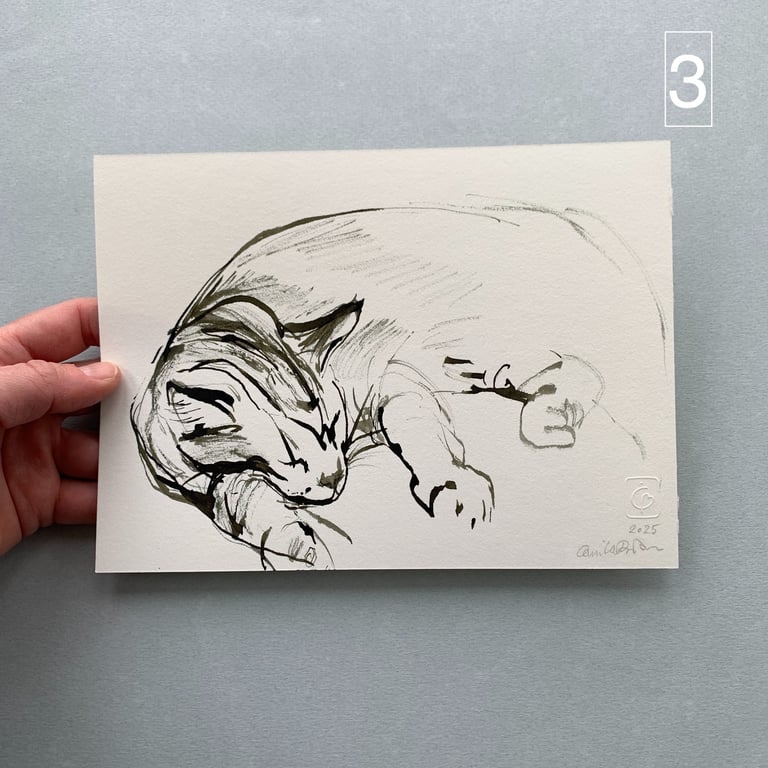 Katteskitser billede 2