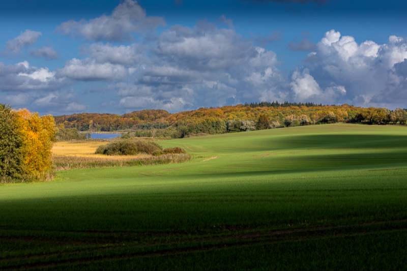 Udsigt over Evensø i Præstø