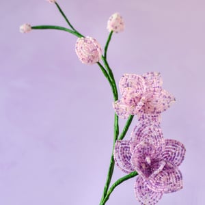 Perle-orkidé i lilla nuancer – produktbillede