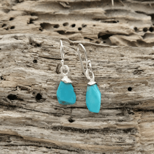 Unika turkis ørekroge. – produktbillede