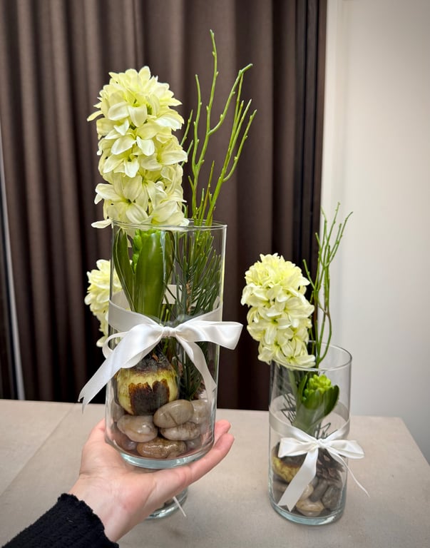 Hyacint i glas billede 5