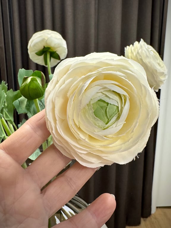 Ranunkel creme  billede 3