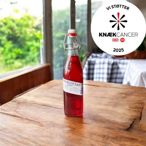 Vindruesaft - Knæk cancer 2025 (3)