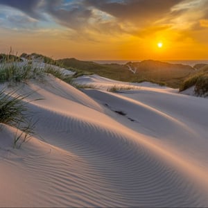 Klitterne i Gammel Skagen lige før solnedgang en smuk sommeraften – produktbillede