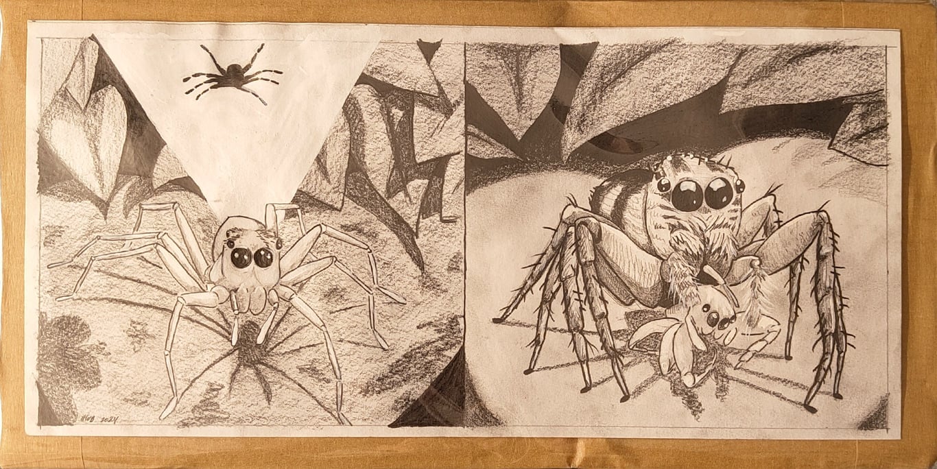 Jumping Spider original p3